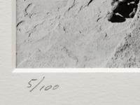 A group of four photographs ( Moqui Marbles, Arizona; Sumacs in Snow, North Conway, New Hampshire; Desert Trumpet in Snow, Utah; Untitled - Snow Covered Trees on Hillside )