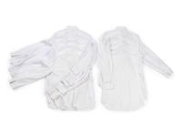 Ten Designer Dress Shirts: One Celine, Four The Row, and Five Loro Piana