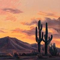 Two Saguaros