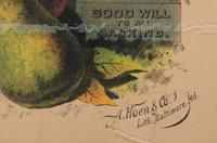[POST-RECONSTRUCTION]. The South has United to make a Grand Exposition of Southern Products , in the Capital City of the Old North State Raleigh, NC, and Invites the World to View the Great Display . Baltimore, MD: A. Hoen & Co, 1891.