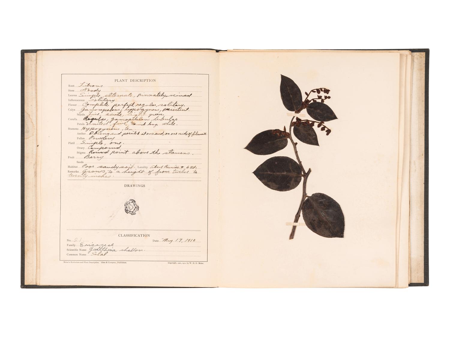 [SPECIMEN ALBUMS]. A group of albums with samples collected in the United States, comprising: