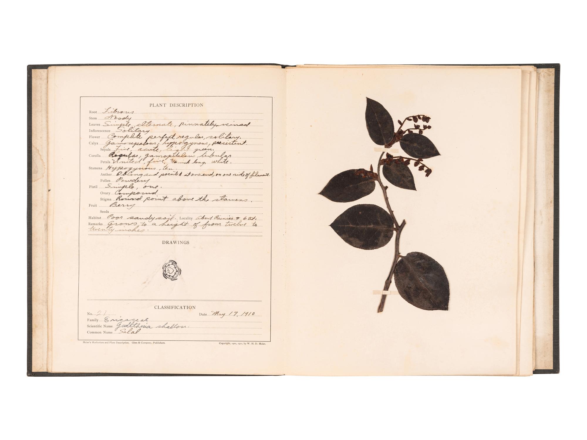 [SPECIMEN ALBUMS]. A group of albums with samples collected in the United States, comprising: