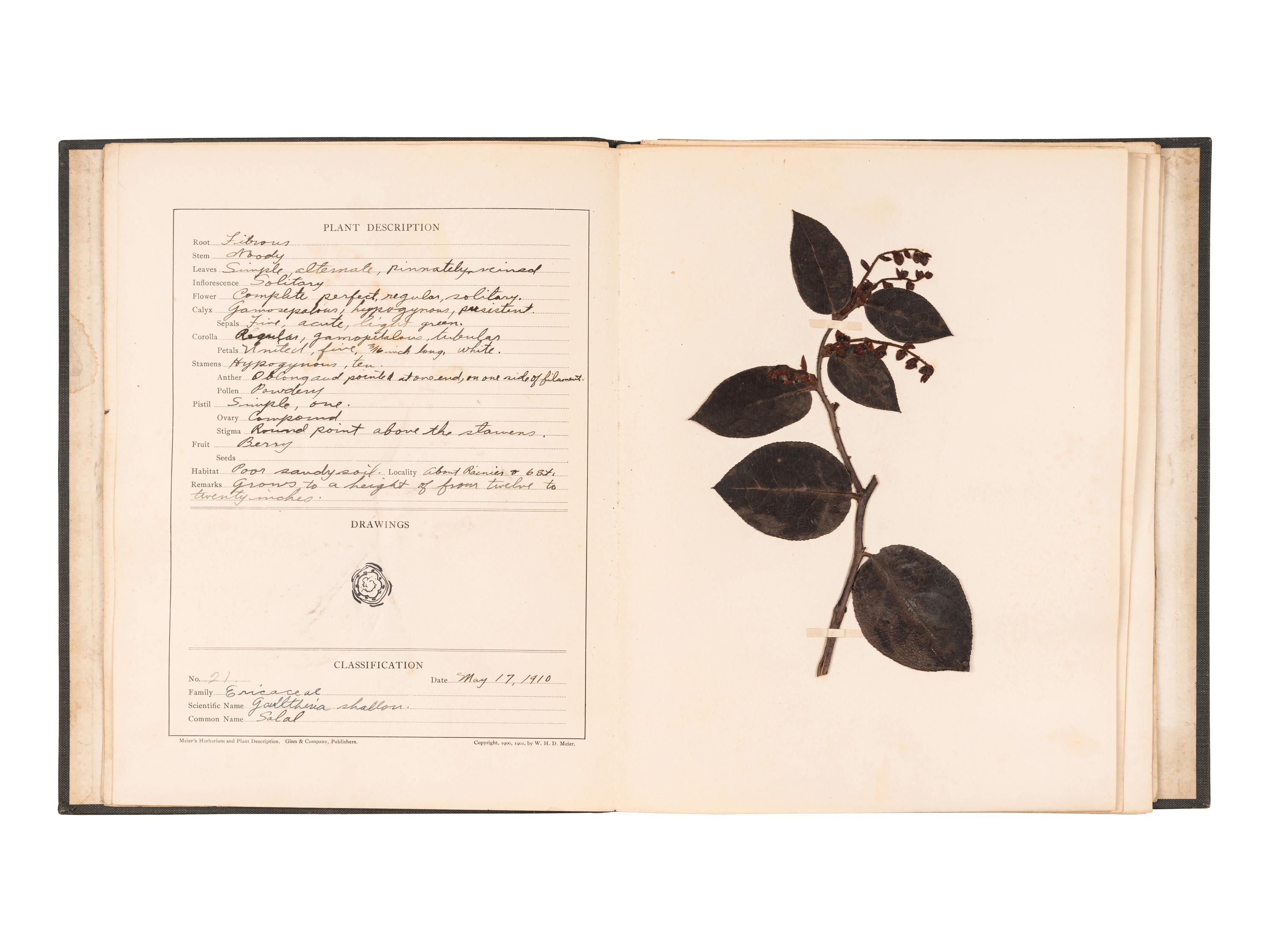 [SPECIMEN ALBUMS]. A group of albums with samples collected in the United States, comprising: