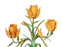 A Pair of Tole Peinte Models of Tulips