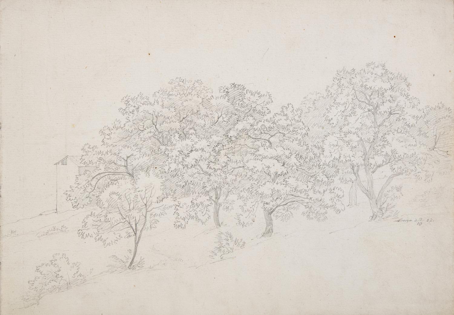 Plant Study with Boulder in Lovere and Landscape in Lovere (two works)