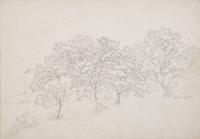 Plant Study with Boulder in Lovere and Landscape in Lovere (two works)