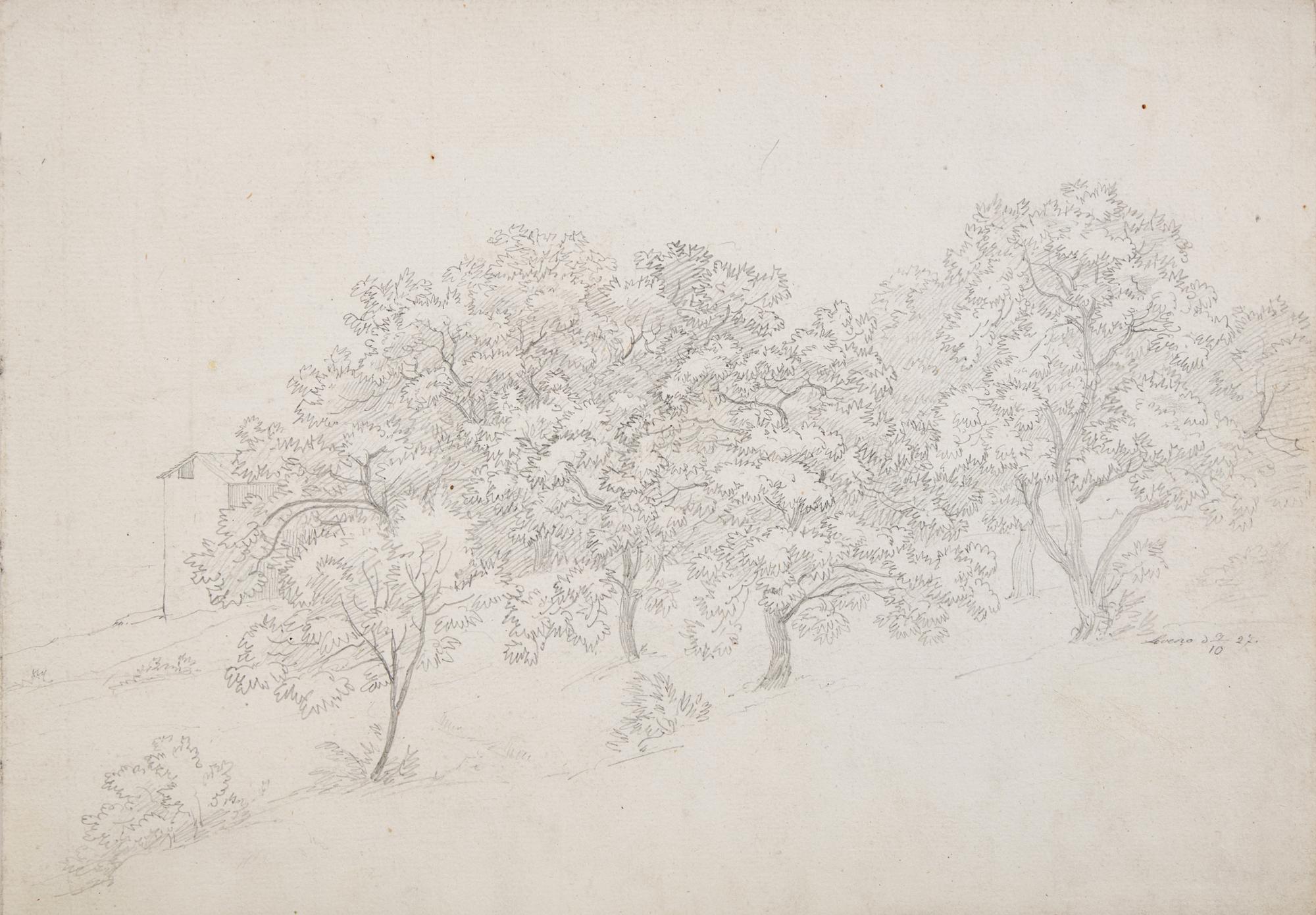 Plant Study with Boulder in Lovere and Landscape in Lovere (two works)