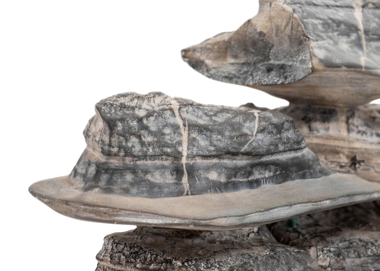 A Chinese Scholar's Rock