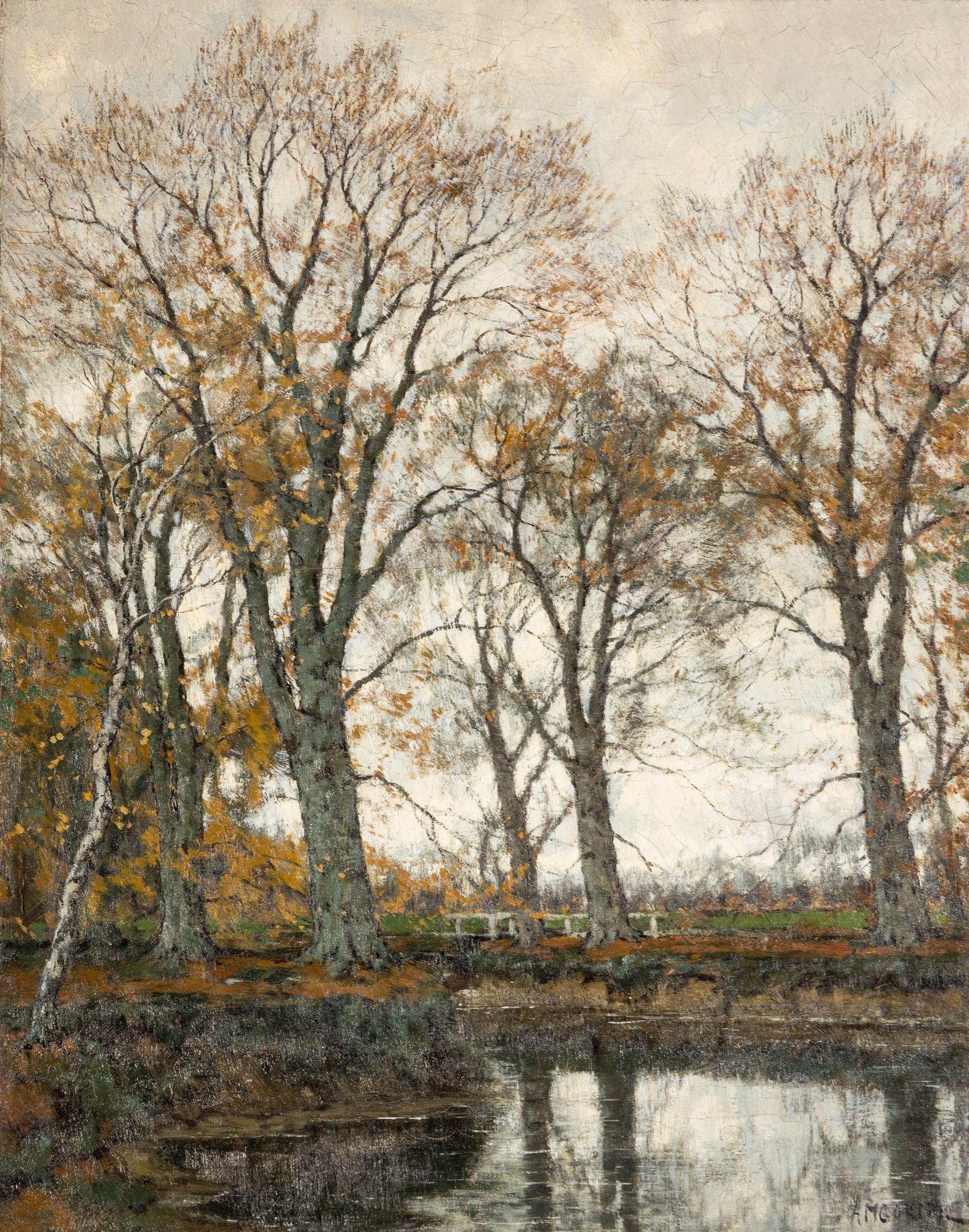 A Lake in the Forest