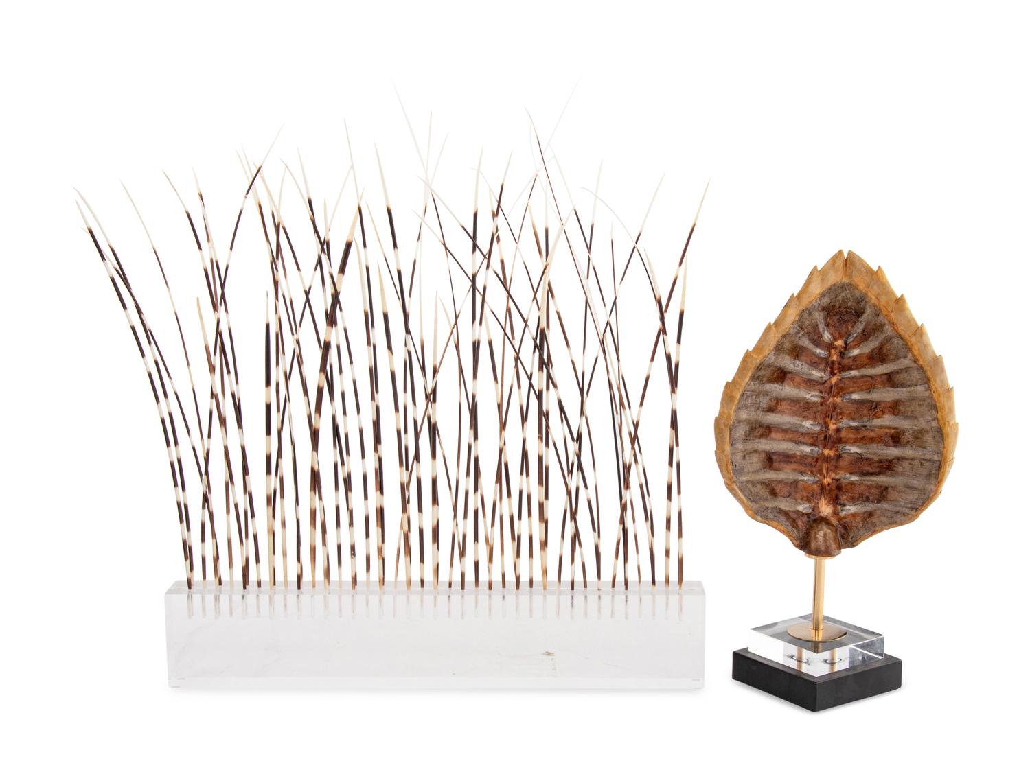 A Faux Tortoise Shell and a Group of Porcupine Quills in an Acrylic Stand