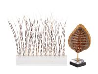 A Faux Tortoise Shell and a Group of Porcupine Quills in an Acrylic Stand