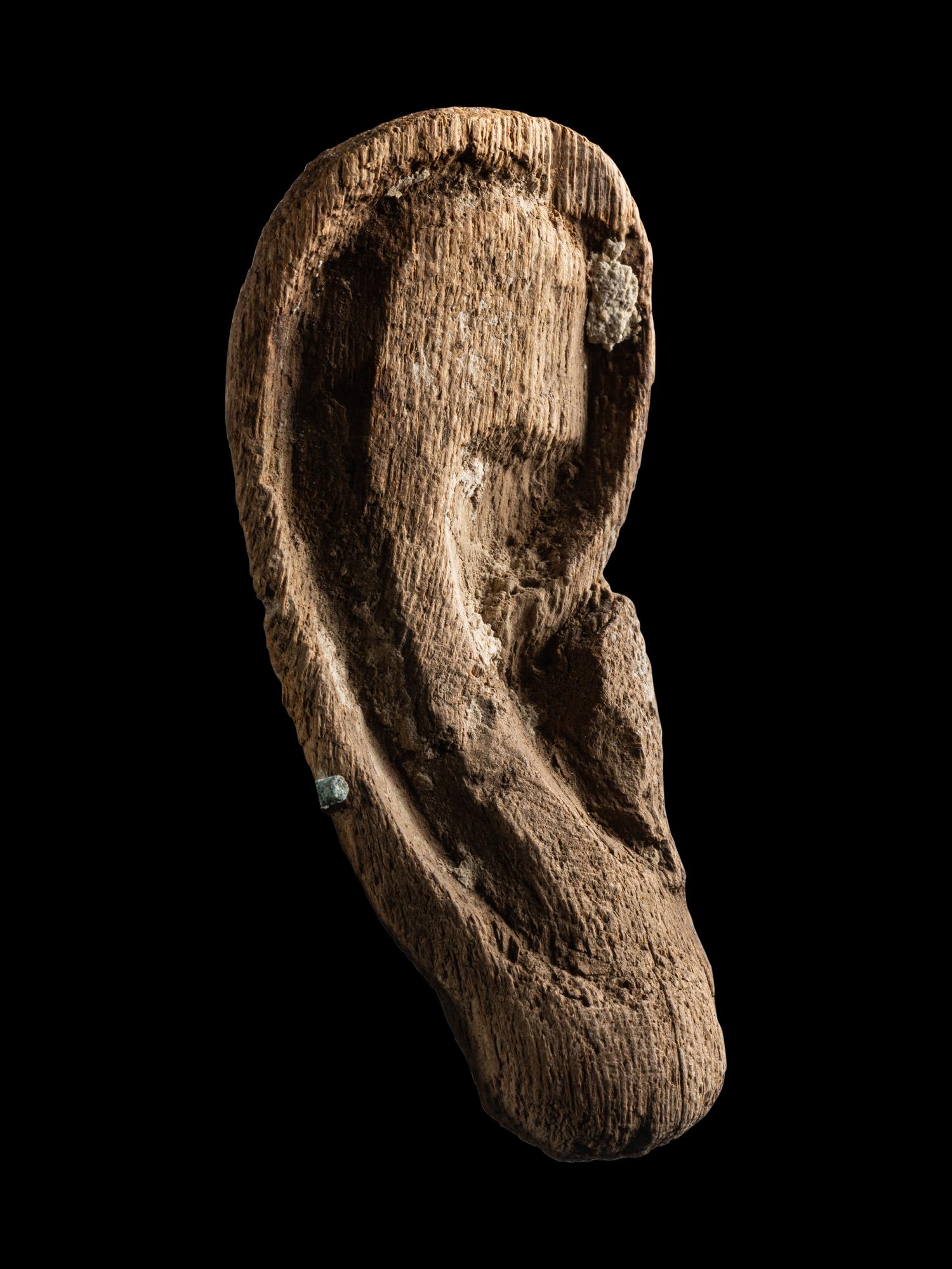 An Egyptian Wood Ear From a Mummy Mask