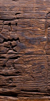 An Egyptian Cedarwood Panel for Horudja