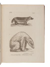 PENNANT, Thomas (1726-1798). History of Quadrupeds . London: B. White, 1781.