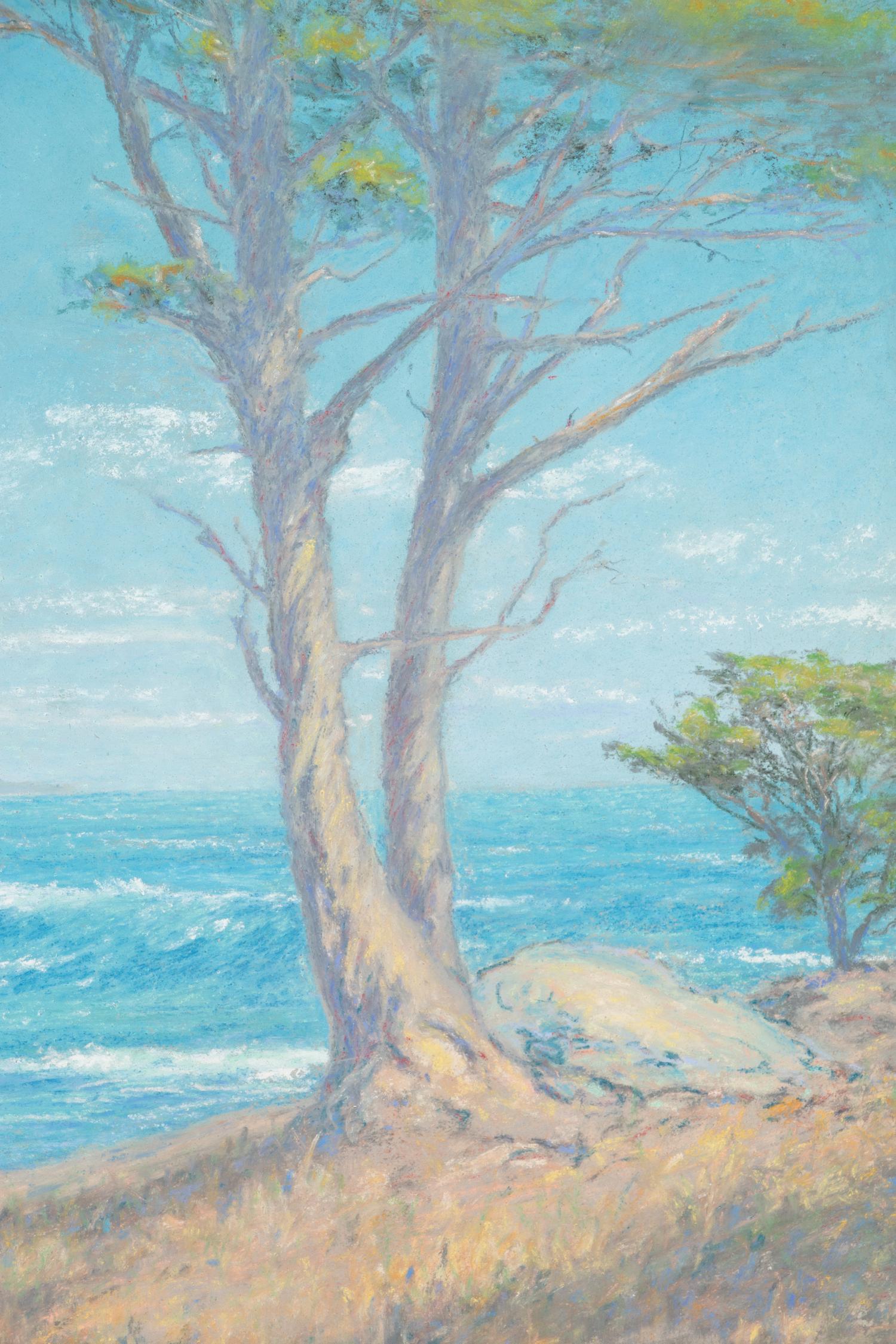 California Coast
