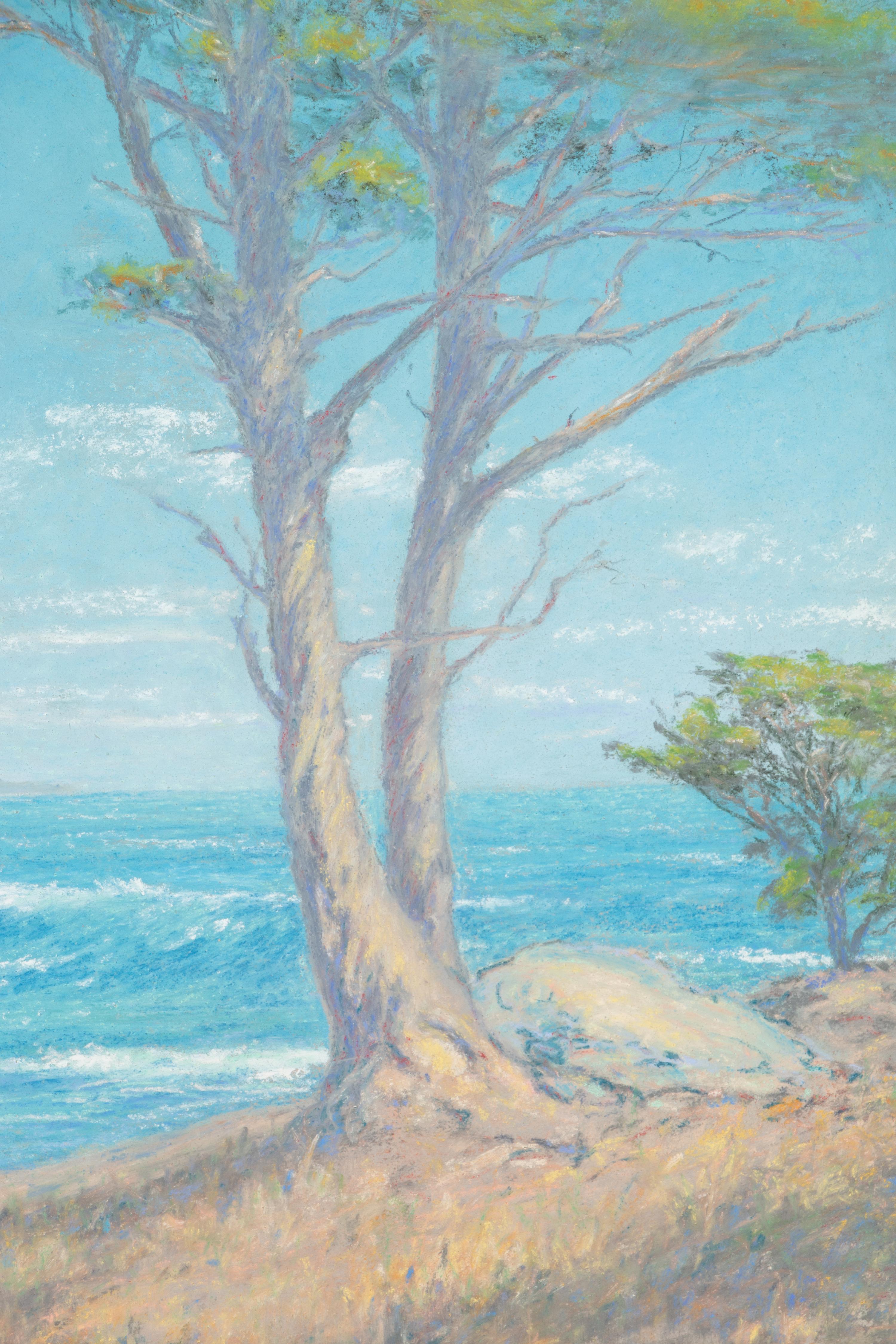 California Coast