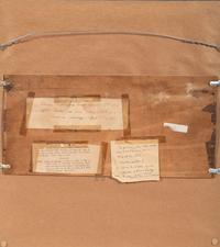 A Needlework Embroidered Sampler, Wrought by Sophia Carter