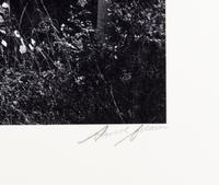 Ansel Adams (1902-1984) Aspens, Northern New Mexico, 1958