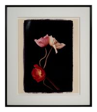 Three Poppies One and Spectrum of Five Poppies One (Pair of Works)