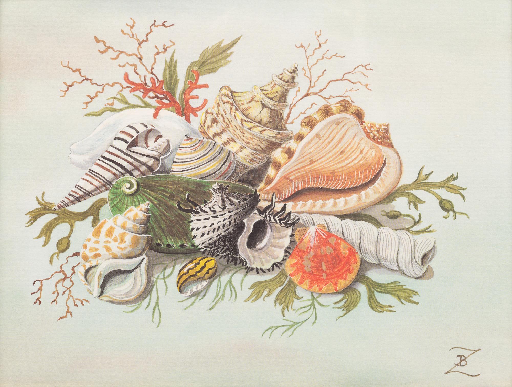 Artist Unknown, 19th/20th Century