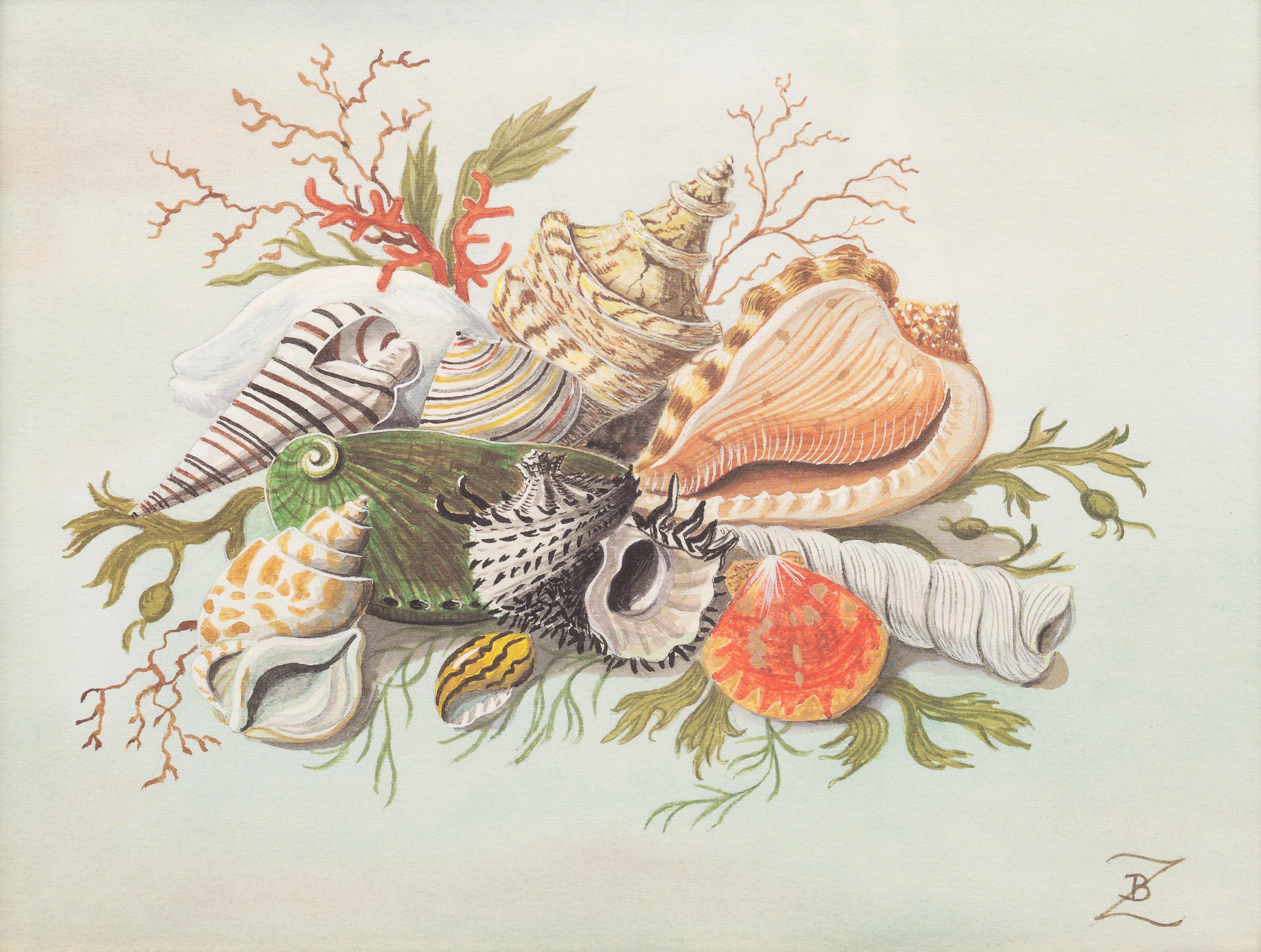 Artist Unknown, 19th/20th Century