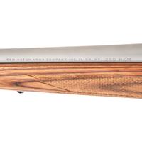 * Remington Model 700 in .260 Remington