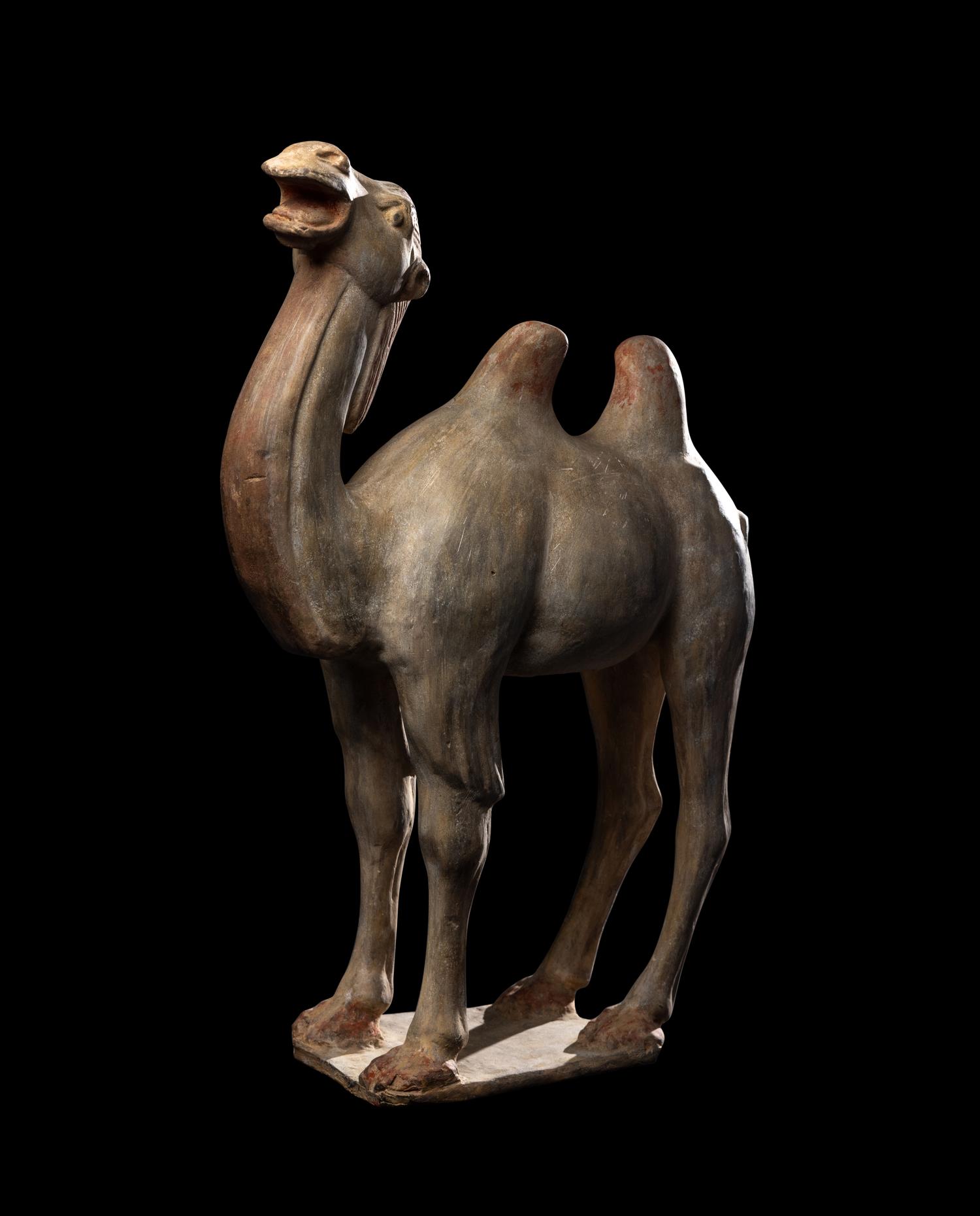 A Chinese Painted Pottery Figure of a Camel