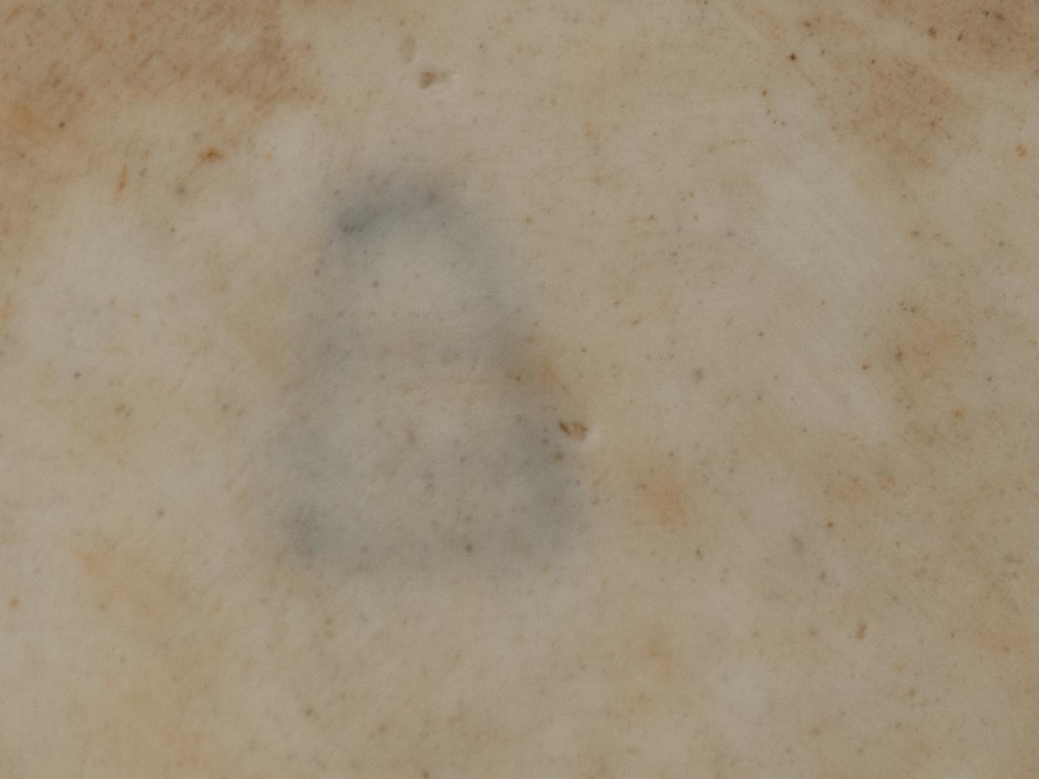 An Austrian Porcelain Plate Depicting Catherine Howard