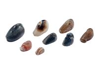 Eight Near Eastern Stone Duck Weights