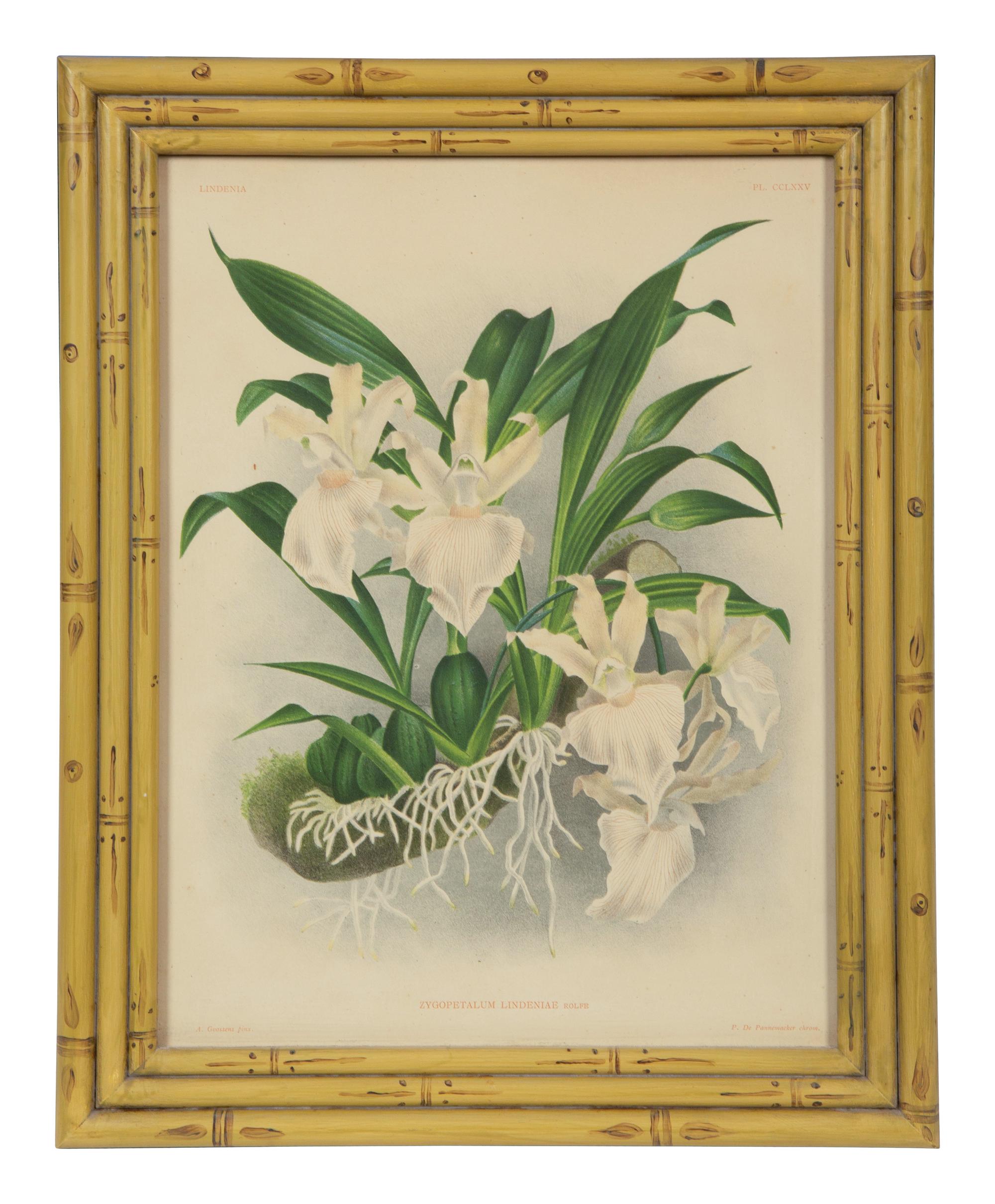 A Set of Twelve Framed Botanical Lithographs