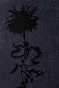 #225