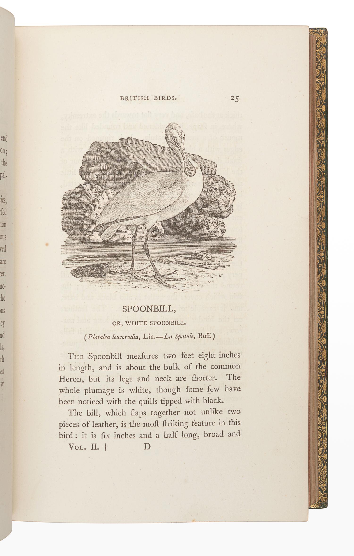 BEWICK, Thomas (1753-1828). A History of British Birds. Newcastle: Edward Walker, 1804.