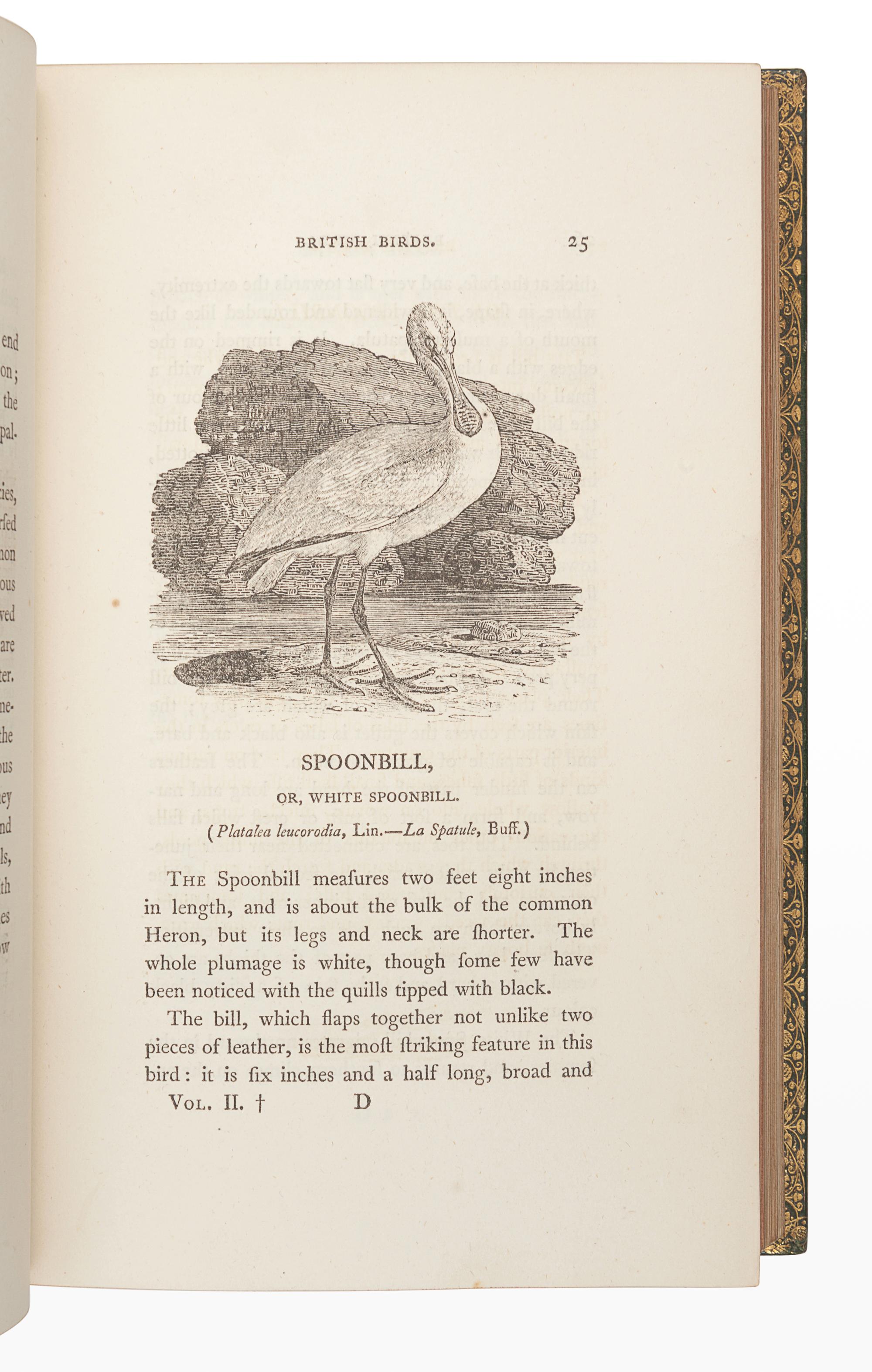 BEWICK, Thomas (1753-1828). A History of British Birds. Newcastle: Edward Walker, 1804.