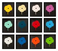12 Colors (complete set of 12), 2007