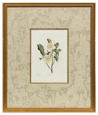 A Group of Six Hand Colored Floral Engravings Each 7 1/2 x 5 inches (visible).