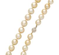 CULTURED GOLDEN SOUTH SEA PEARL NECKLACE