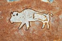 A Decorative Bronze Buffalo Shield