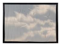 Untitled ( from Wash and Tear Series)