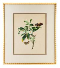 A Chinese Export Painting on Paper Height of painting 16 1/2 x width 13 inches. — CIRCA 1810