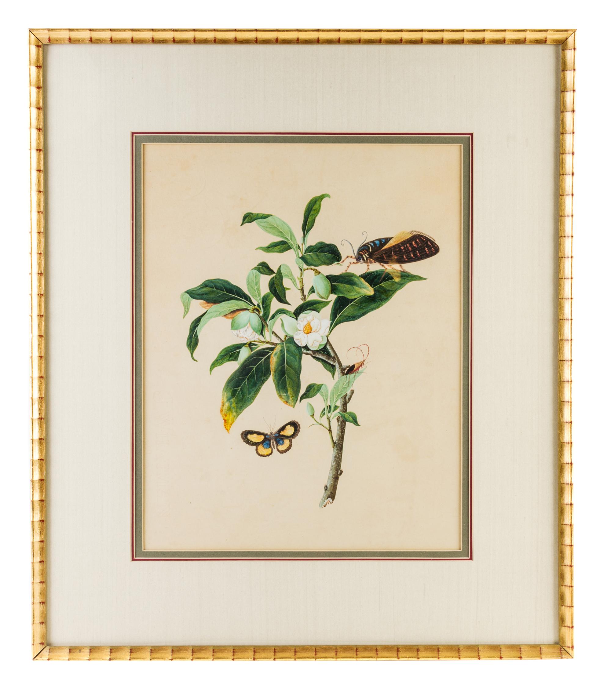 A Chinese Export Painting on Paper Height of painting 16 1/2 x width 13 inches. — CIRCA 1810