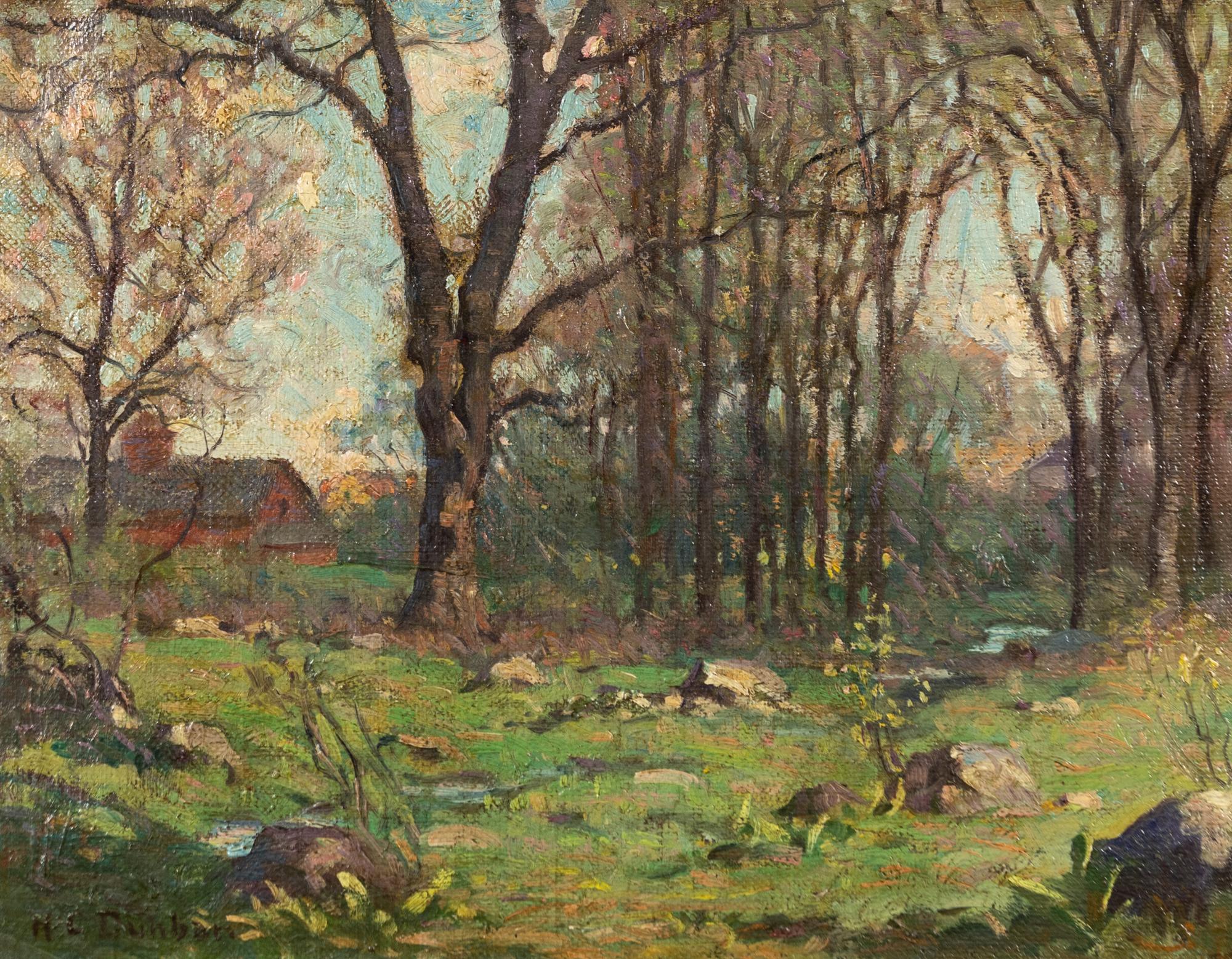 Spring Shadows