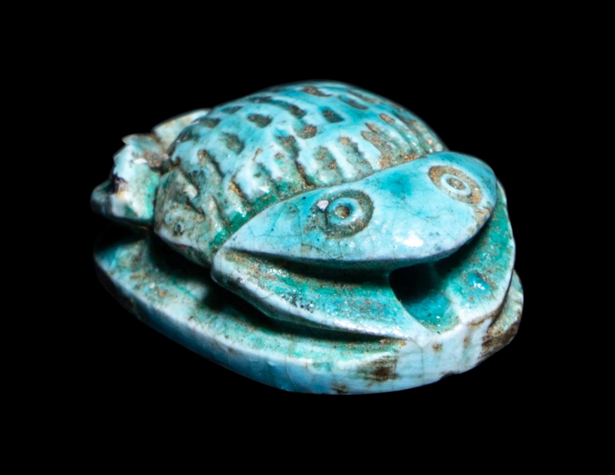 An Egyptian Faience Frog Scaraboid