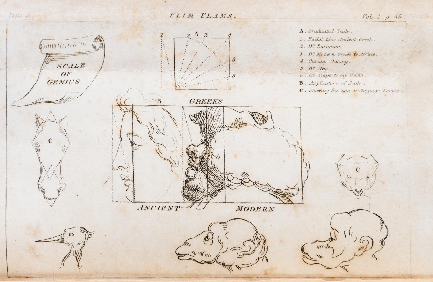 [D'ISRAELI, ISAAC] Flim-Flams!... London, 1806. 3 vols. Second edition, with 11 plates.