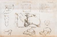 [D'ISRAELI, ISAAC] Flim-Flams!... London, 1806. 3 vols. Second edition, with 11 plates.