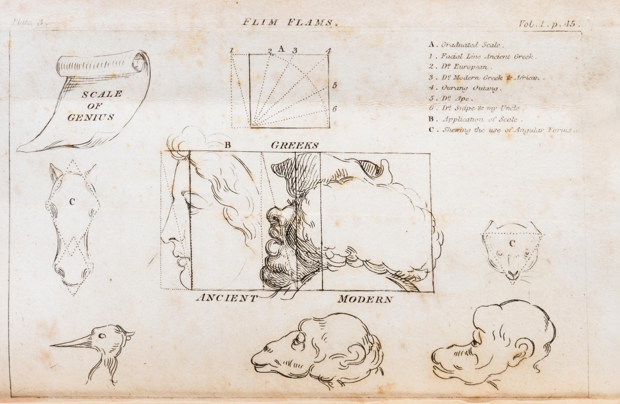 [D'ISRAELI, ISAAC] Flim-Flams!... London, 1806. 3 vols. Second edition, with 11 plates.