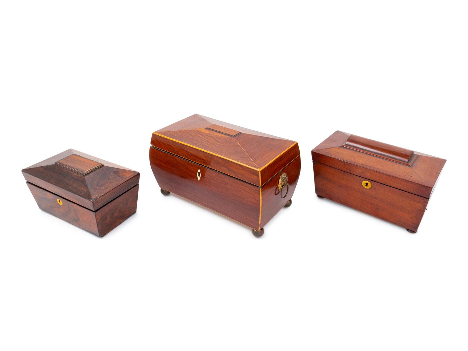 Three Regency Carved Wood Tea Caddies