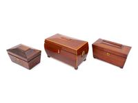 Three Regency Carved Wood Tea Caddies
