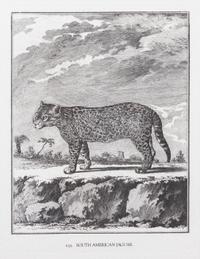 A Collection of Twenty Framed Black & White Animal Prints Framed size 21 3/4 x 19 1/2 inches. — 20TH CENTURY