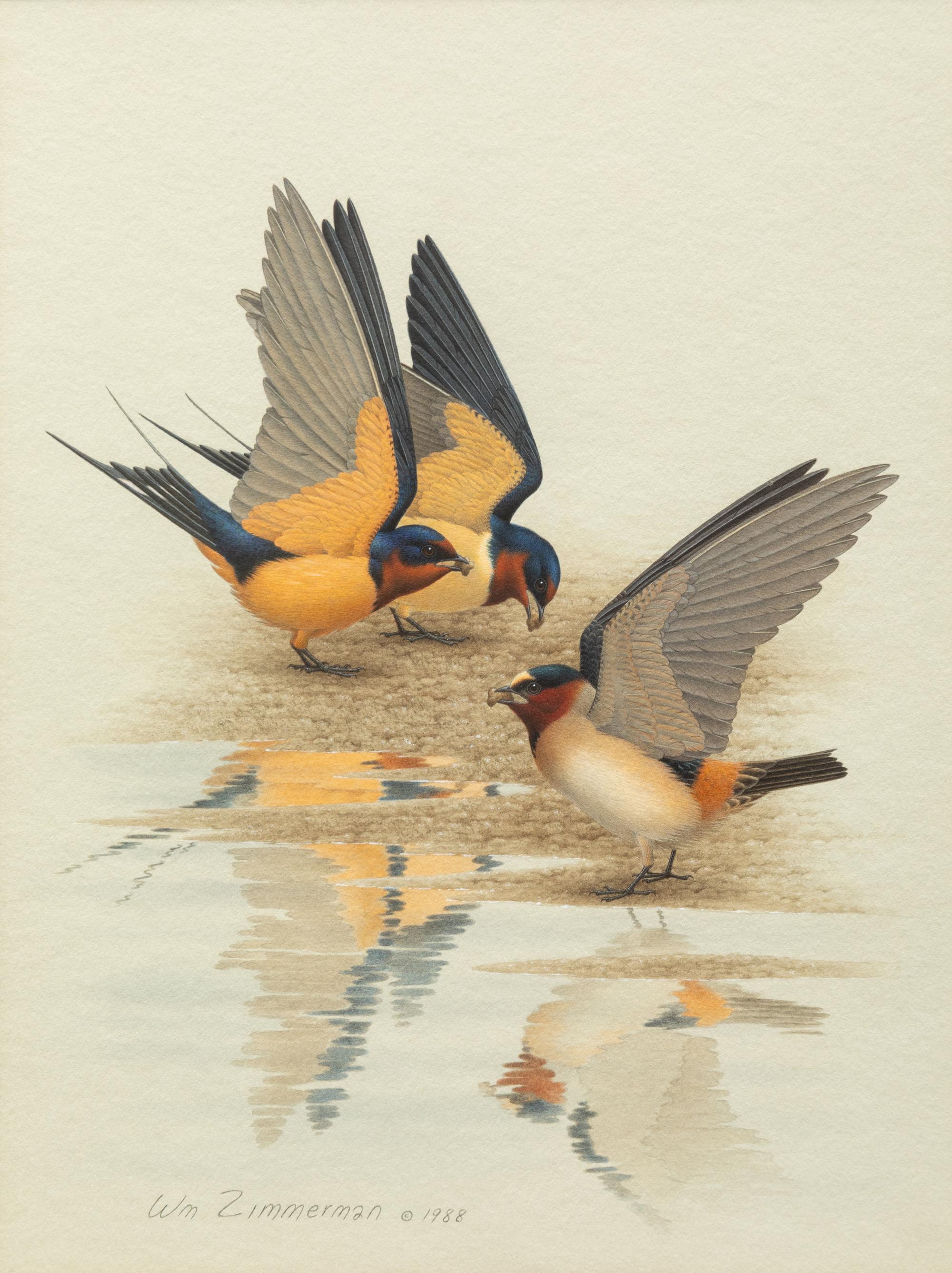 Group of Nine Works, American Bird Series, 1988