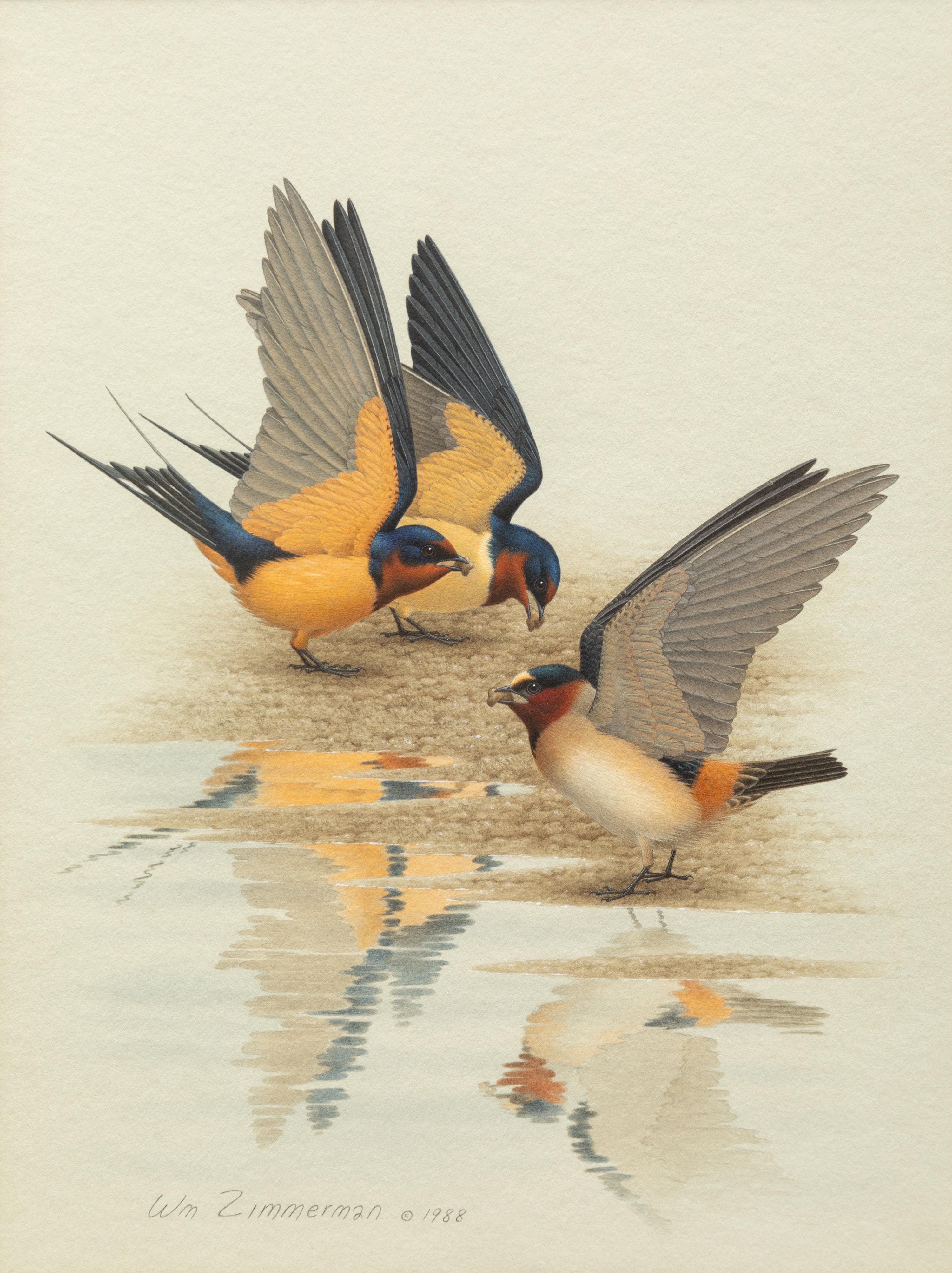 Group of Nine Works, American Bird Series, 1988